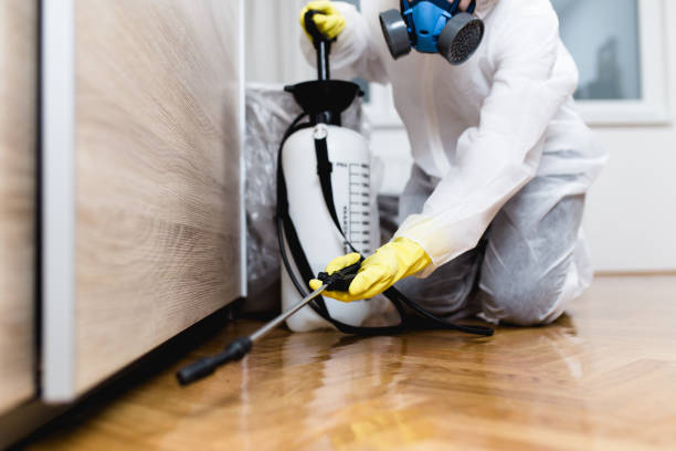 Best Flea Control Services  in Muncie, IN
