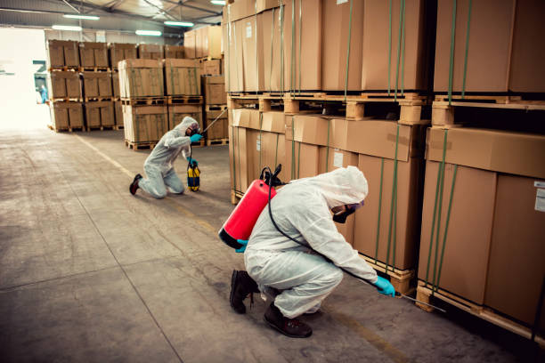 Best Residential Pest Control  in Muncie, IN