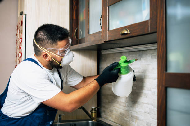Best Pest Inspection Near Me  in Muncie, IN