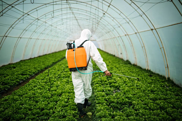 Best Local Pest Control Services  in Muncie, IN