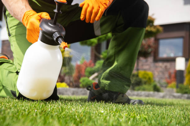 Best Affordable Pest Control Services  in Muncie, IN
