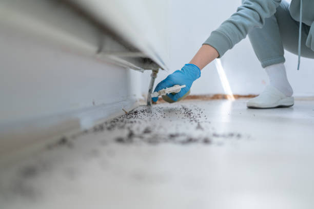 Reliable Muncie, IN Pest Control Solutions