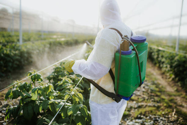 Best Best Pest Control Near Me  in Muncie, IN